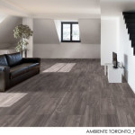 Almera Ceramica Toronto Grafito 20x60