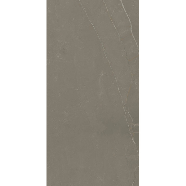 Linearstone Taupe Gres Szkl. Rekt. Mat. 59,8X119,8