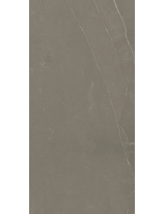 Linearstone Taupe Gres Szkl. Rekt. Mat. 59,8X119,8