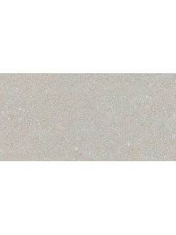 Плитка Stevol Stone lapatto light grey 40х80